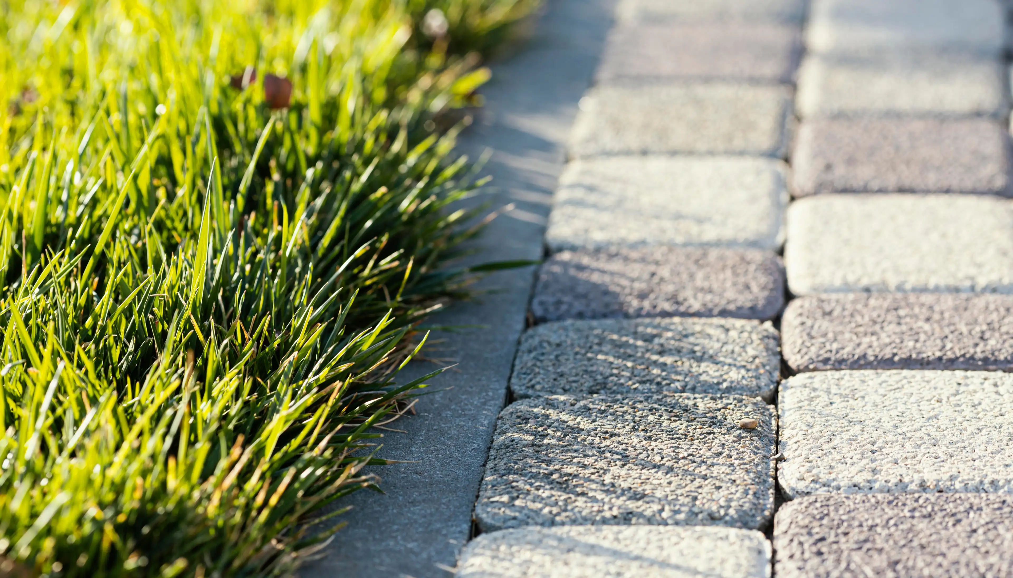 Проект Лучший двор